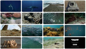 Spy in the Ocean S01E04 Deep Trouble 1280x720p HD 50fps soft Eng subs