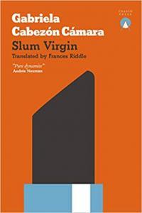 Slum Virgin by Gabriela Cabezon Camara EPUB