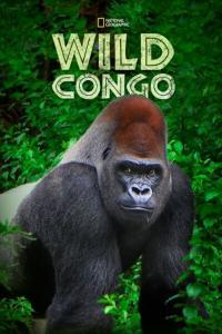 Wild Congo S01 COMPLETE 720p DSNP WEBRip x264 GalaxyTV