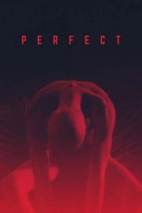 Perfect 2019 720p WEBRip 800MB x264 GalaxyRG