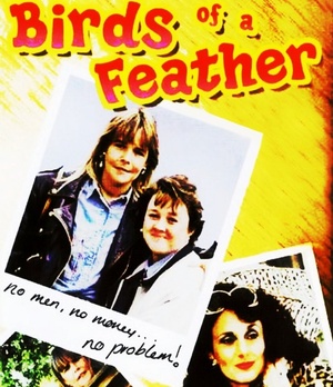 Birds of a Feather Season 01-12 Complete (1989-2020) [HEVC.576p.DVDRip] [classictvbydjdezzie]