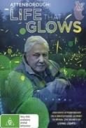 Attenborough's Life That Glows (2016) [BluRay] [1080p] [YTS] [YIFY]