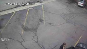 The Shadows of Death S01E01 The Manifesto 720p WEBRip x264-CAFFEiNE [eztv]