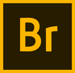 Adobe Bridge 2023 v13.0.2.636 (x64) + Crack