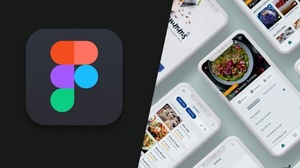[ FreeCourseWeb ] Udemy - Learn Figma in 14 Days - Master UI Design and Prototyping