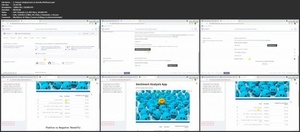 Udemy - Data Science - Sentiment Analysis - Model Building Deployment