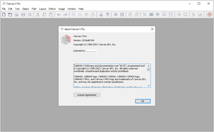 Canvas X Pro v20.0.544 (x64) Portable [FTUApps]