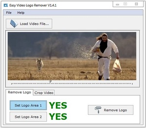 Easy Video Logo Remover 1.4.3 + Fix [down24x7]