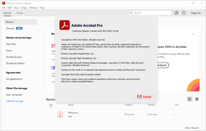 Adobe Acrobat Pro DC v2022.003.20282 (x64) Multilingual Pre-Activated