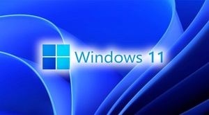 Microsoft Windows 11 21H2 Final Build (x64) AIO 16in1 UNTOUCHED OFFICIAL ISO