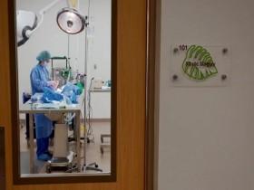 Secrets of the Zoo-Tampa S02E05 New Rhino on the Block 480p x264-mSD [eztv]