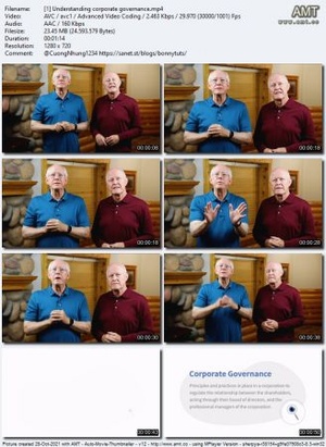 Linkedin - Finance Foundations - Corporate Governanace