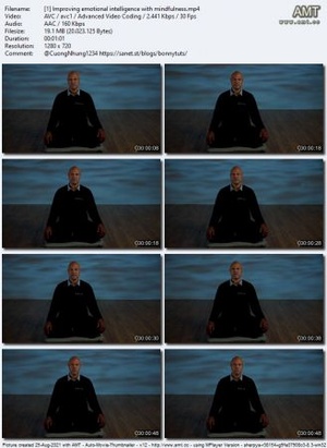 Linkedin - Improving Emotional Intelligence with Mindfulness