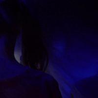 The.Box.in.the.Basement.2022.HDRip.XviD.AC3-EVO[TGx]