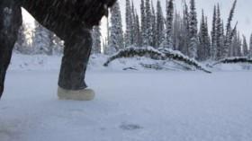 The Last Alaskans S04E10 Laying Down Their Legacy WEBRip x264-CAFFEiNE [eztv]