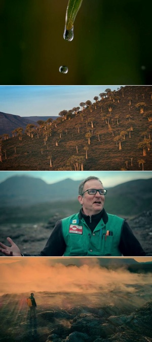 H2O.The.Molecule.That.Made.Us.S01.720p.x265-ZMNT