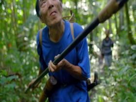 Earths Tropical Islands S01E02 Borneo 480p x264-mSD [eztv]