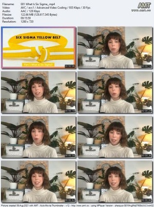 Six Sigma Yellow Belt Certification Training