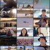 Bondi.Rescue.S17E03.1080p