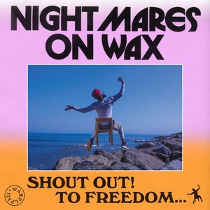 Nightmares On Wax - Shout Out! To Freedom... (2021) [24Bit-96kHz] FLAC [PMEDIA] ⭐️