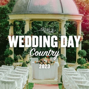 Various Artists - Wedding Day Country 2023 (2023) Mp3 320kbps [PMEDIA] ⭐️