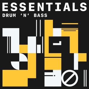 VA - Drum ’n’ Bass Essentials (2021) Mp3 320kbps [PMEDIA] ⭐️