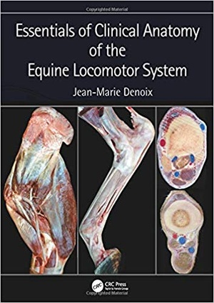 [ FreeCourseWeb ] Essentials of Clinical Anatomy of the Equine Locomotor System