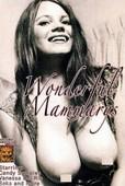 Wonderful.Mammarys.1970.DVDRip.x264-worldmkv