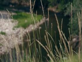 True Conviction S02E09 John is Calling 480p x264-mSD [eztv]