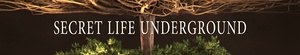 Secret.Life.Underground.S01.COMPLETE.720p.WEBRip.x264-GalaxyTV