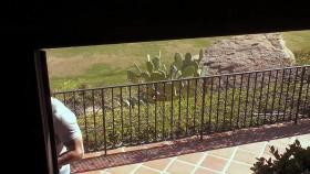 The Bachelor Listen to Your Heart S01E02 720p WEB h264-TBS [eztv]