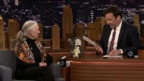 Jimmy Fallon 2019 04 19 Michael Shannon WEB x264-TBS [eztv]