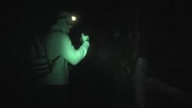 Ghost Adventures S21E06 Haunted Hollow Forest 720p WEB x264-ROBOTS [eztv]