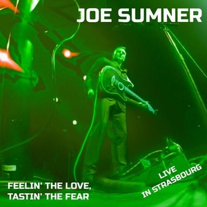 Joe Sumner - Feelin' the love, Tastin' the fear (2023) Mp3 320kbps [PMEDIA] ⭐️