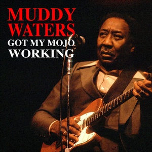 Muddy Waters - Got My Mojo Working (2022) FLAC [PMEDIA] ⭐️