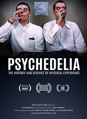 Psychedelia - The History and Science of Mystical Experience (2022) 1080p WEBRip x265 An0mal1