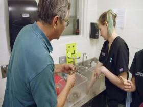 The Zoo US S03E03 Andre the Baby Goat 480p x264-mSD [eztv]