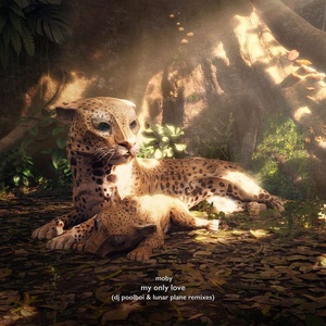 Moby - My Only Love (dj poolboi + Lunar Plane Remixes) (2020 Elettronica) [Flac 24-44]