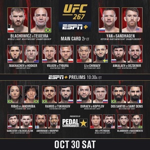 UFC.267.Blachowicz.vs.Teixeira.PPV.720p.HDTV.x264-VERUM[TGx]