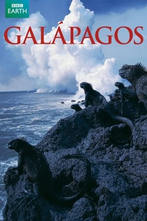 Galapagos 2006 S01 720p.10bit.BluRay.x265-budgetbits