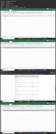 [ FreeCourseWeb ] Udemy - Microsoft Excel Wizardry 1