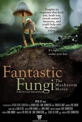 Funghi fantasticI (2019) DLMux 1080p E-AC3+AC3 ITA ENG SUBS.mkv