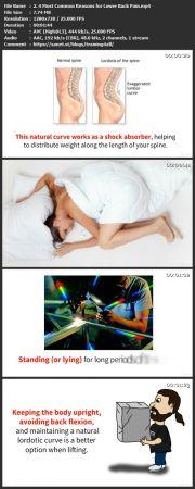 [ FreeCourseWeb ] Udemy - Low Back Pain Relief Secrets.rar