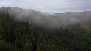 Lost.Car.Rescue.Season.1.Episode.1.Lost.Car.Rescue.H265.1080p.WEBRip.EzzRips