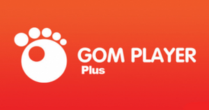 GOM Player Plus 2.3.49.53116 + Crack ~ [FileRiver]