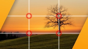 [ FreeCourseWeb ] Beginner Photography Composition Course