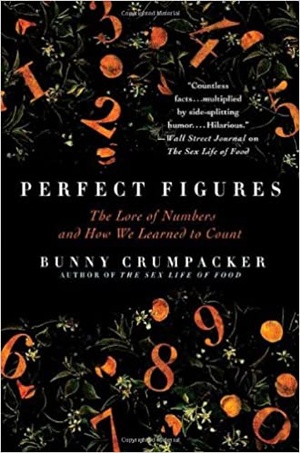 [ FreeCourseWeb ] Perfect Figures - The Lore of Numbers and How We Learned to Count