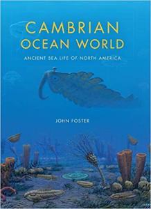 [ DevCourseWeb ] Cambrian Ocean World - Ancient Sea Life of North America (Life of the Past)