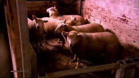 Hairy Bikers Best of British S01E16 Slow Food WEB x264-APRiCiTY [eztv]