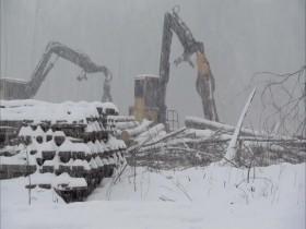 Swamp Loggers S03E01 Snow Days 480p x264-mSD [eztv]